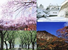 tour-instruction-japan