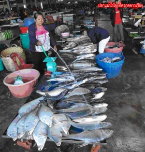 tour-dao-rueng-market-laos-2