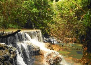 tour-tadkwangsri-waterfall-laos-4
