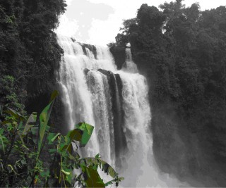 tour-tadyuing-waterfall-laos-2