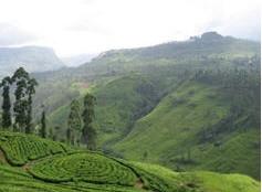 tour-instruction-sri-lanka