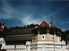 tour-instruction-sri-lanka