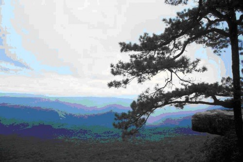 tour-phukradueng-loei