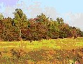 tour-ku-camp-burma-sing-buri