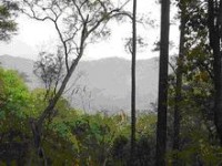 tour-pa-son-song-bai-suphan-buri